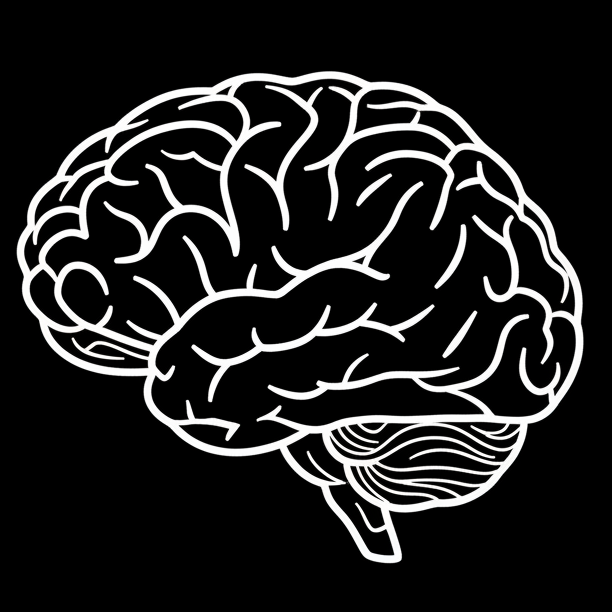 a white outline png of a brain.black backround